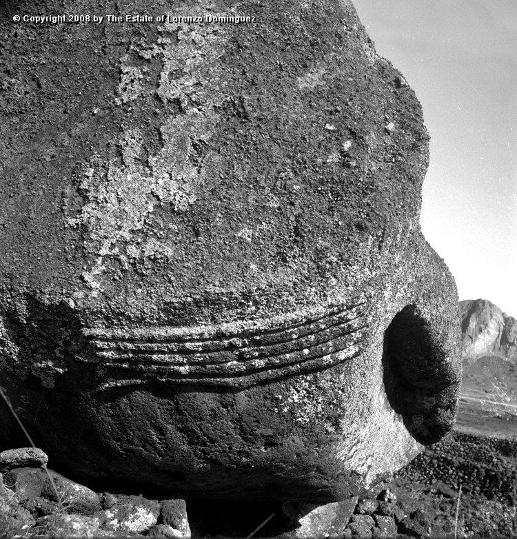 TAM_Manos_01.jpg - Easter Island. 1960. Ahu Tongariki.Detail of hands of a moai fallen over the ahu wall.  Photograph taken shortly before the destruction of the ahu by the tsunami of May 22, 1960.